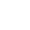 light logo